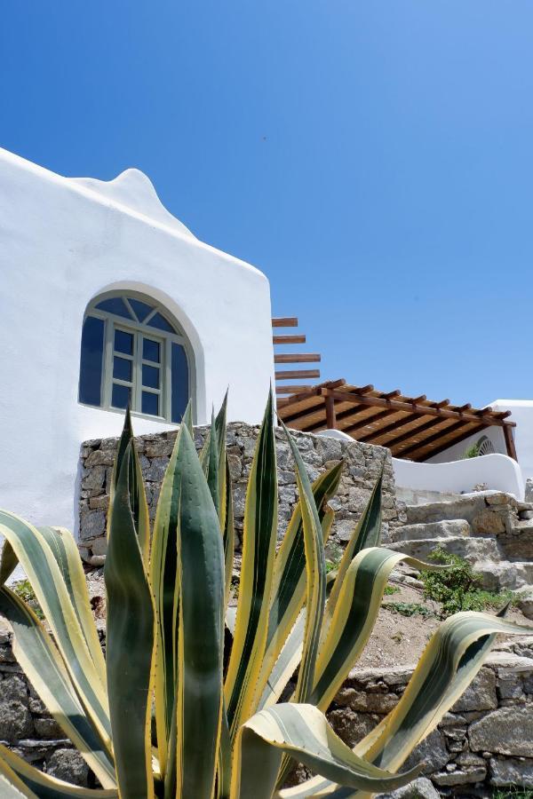 Tavros Villa Mykonos Town Ngoại thất bức ảnh